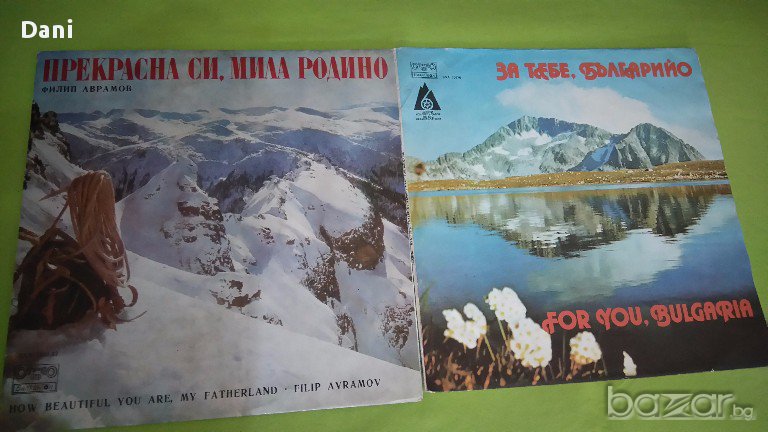 Грамофонни плочи- Песни за Родината, снимка 1