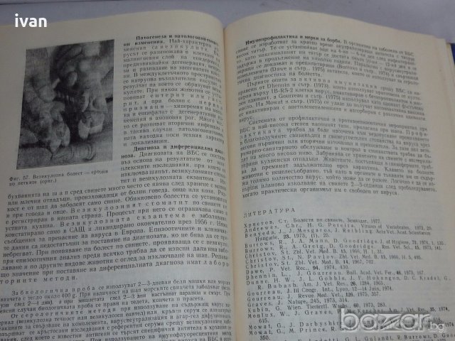 Вирусни болести по домашните животни, снимка 5 - Специализирана литература - 18923418