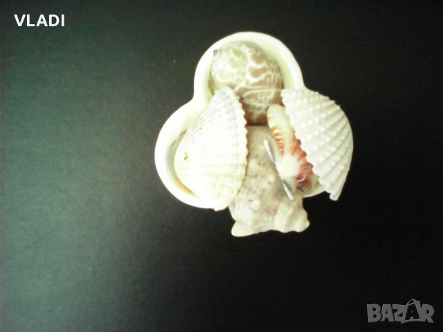 Прекрасен Подарък