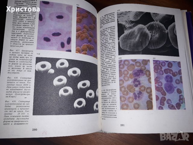 Атлас - клетка и тъкани, снимка 4 - Учебници, учебни тетрадки - 24754270