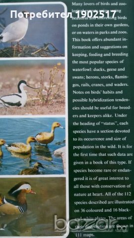 Ornamental waterfowl by Hartmut Kolbe (in English) За любителите на птичия свят - водолюбивите птици, снимка 2 - Специализирана литература - 20844430