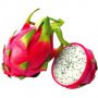200 семена 4 ароматни екзотични вида питая редки драконови плодове от кактус, снимка 10