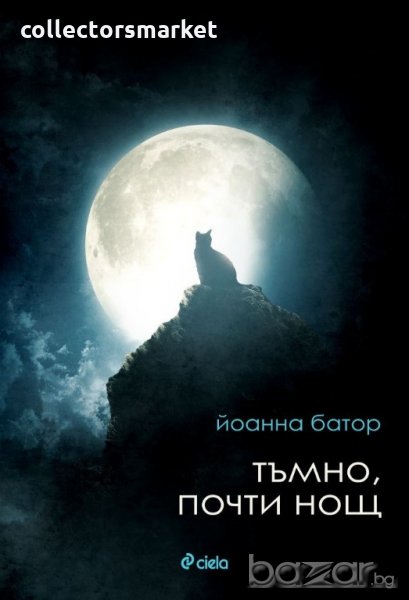 Тъмно, почти нощ, снимка 1