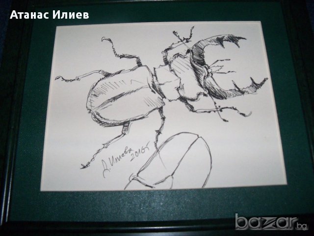 "Бръмбар рогач" графика от художничката Десислава Илиева. , снимка 2 - Картини - 16257953