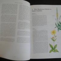 Книга - Health from God's Garden, снимка 3 - Енциклопедии, справочници - 26123395