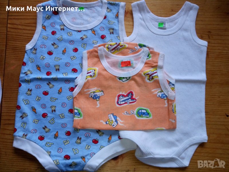 Български бодита потник, снимка 1