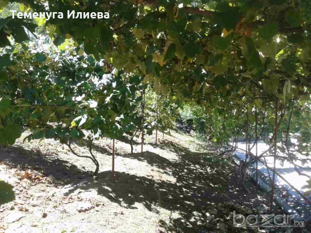 продава сграда, снимка 4 - Къщи - 18924563