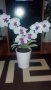 Цветя от хартия-орхидея, снимка 4