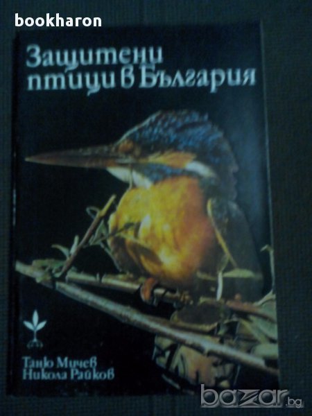 Таню Мичев/Никола Райков: Защитени птици в България, снимка 1