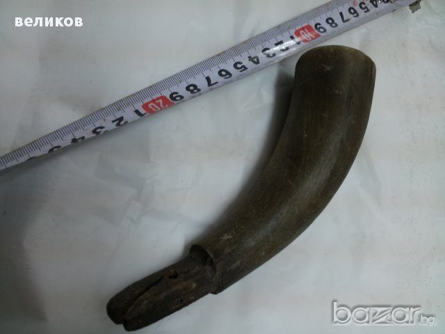 стар рог , снимка 2 - Антикварни и старинни предмети - 13833152