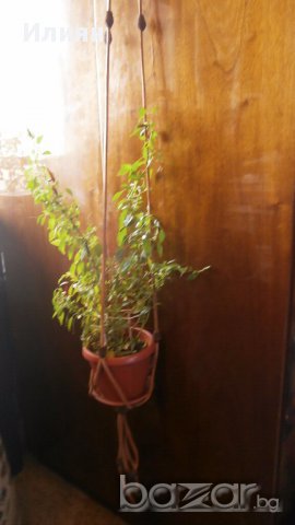 Мекремета, снимка 2 - Декорация за дома - 17119357