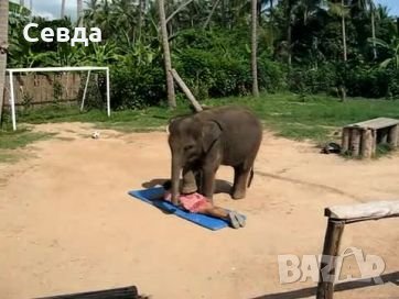 Масажи, снимка 2 - Други оферти за работа - 18527671