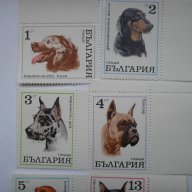 български пощенски марки - кучета 1970, снимка 2 - Филателия - 16737641