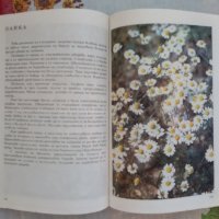 Албум за Растения и Животни - София 1976, снимка 3 - Художествена литература - 17111137