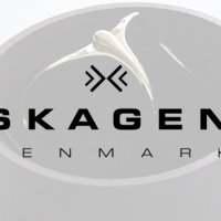 ПРОМО 🍊 SKAGEN 🍊 Сребристо дамско колие SILVERY SEA GLASS нов с кутия и сертификат, снимка 10 - Колиета, медальони, синджири - 21825186