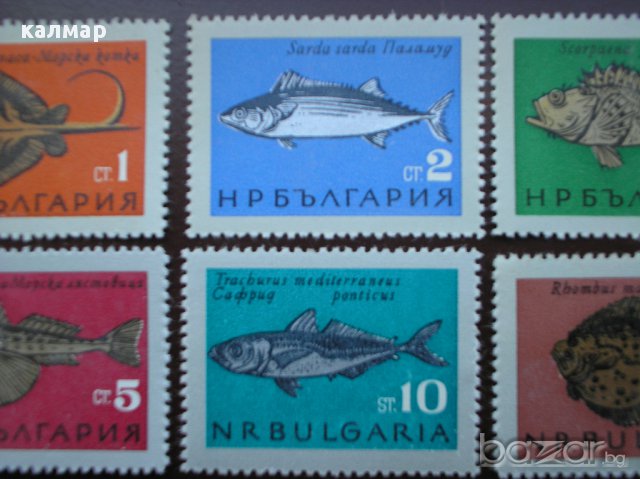 български пощенски марки - риби 1965, снимка 3 - Филателия - 13592685