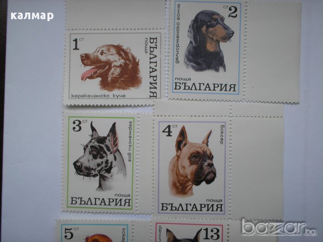 български пощенски марки - кучета 1970, снимка 2 - Филателия - 16737641