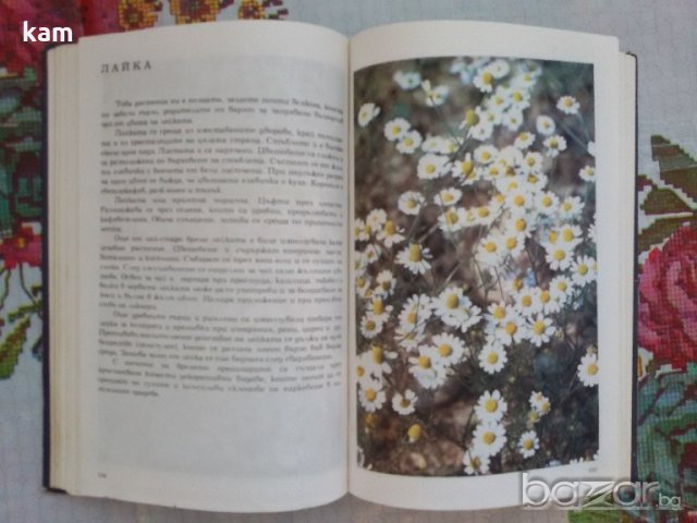 Албум за Растения и Животни - София 1976, снимка 3 - Художествена литература - 17111137