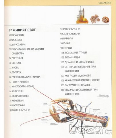 ФАКТОПЕДИЯ, снимка 3 - Енциклопедии, справочници - 20954739