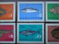 български пощенски марки - риби 1965, снимка 3