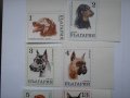 български пощенски марки - кучета 1970, снимка 2