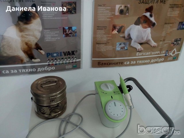 Ветеринарен кабинет ВЕТЕРИНО - Варна,Цветен квартал, снимка 8 - Ветеринари и услуги - 15365104