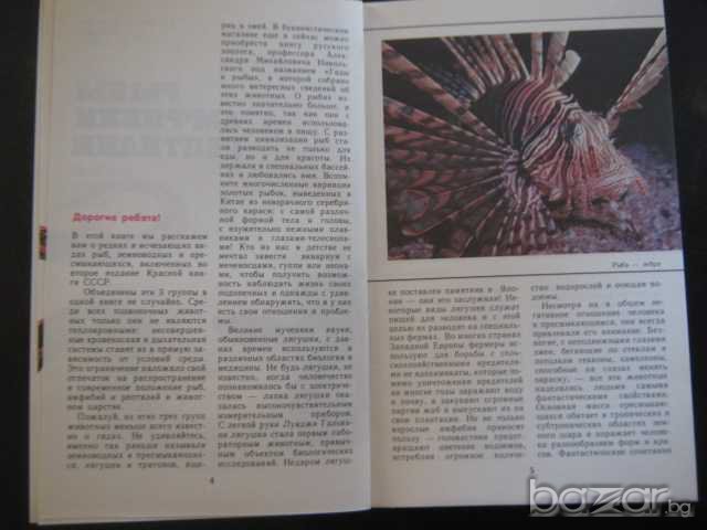 Книга "Рыбы амфибии рептилии - Т.Александровская" - 208 стр., снимка 3 - Специализирана литература - 8041134