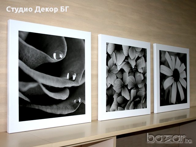 Сет картини Цветя в черно бяло #117, снимка 2 - Картини - 11337894