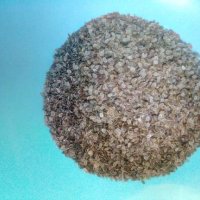Едро био-семе копър 💥, снимка 3 - Сортови семена и луковици - 26189449