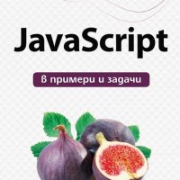 JavaScript в примери и задачи, снимка 1 - Специализирана литература - 20987457