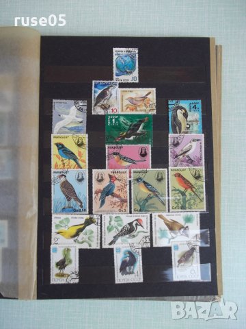 Класьор стар с пощенски марки, снимка 11 - Филателия - 25995319