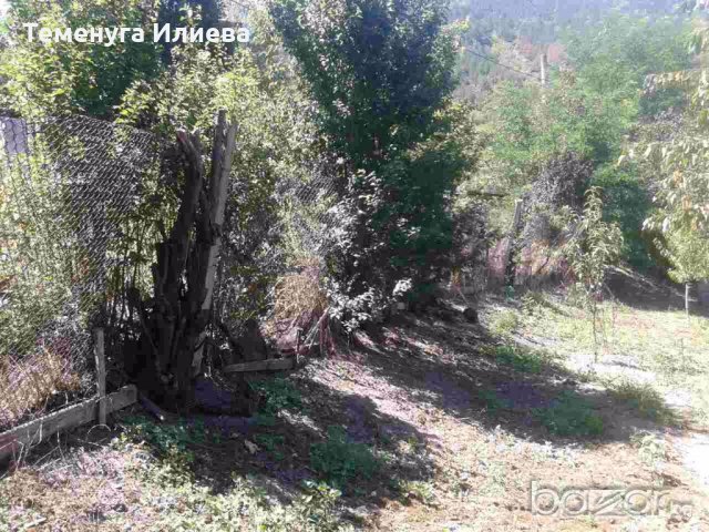 продава сграда, снимка 5 - Къщи - 18924563