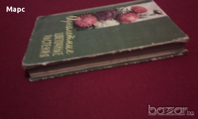 Однолетние цветочные растения, снимка 12 - Художествена литература - 11103613