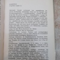 Книга "FISCHKUNDE FÜR ANGLER - WOLFGANG ZEISKE" - 160 стр., снимка 4 - Енциклопедии, справочници - 25536754