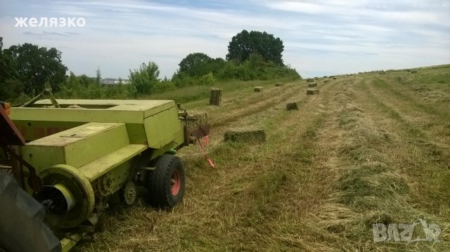 животни, снимка 2 - За селскостопански - 23642096