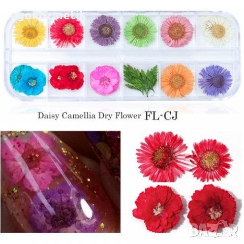 сухи цветя за декорация на маникюр, снимка 3 - Продукти за маникюр - 10698717