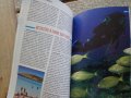 справочник пътеводител за остров Форментера на немски език, снимка 2