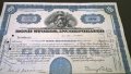 Сертификат за притежание на 100 акции (САЩ) | Bond Stores, Incorporated | 1950г., снимка 2