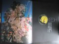 Книга "Живой океан - Н.Калинин" - 240 стр., снимка 2