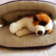 Легло ЗИТА за един домашен любимец, снимка 3 - За кучета - 14934273