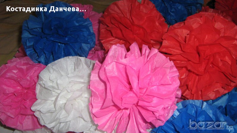 помпони, снимка 1