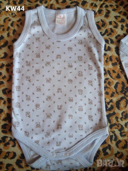 Нови бодита, снимка 1