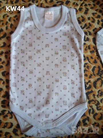 Нови бодита, снимка 1