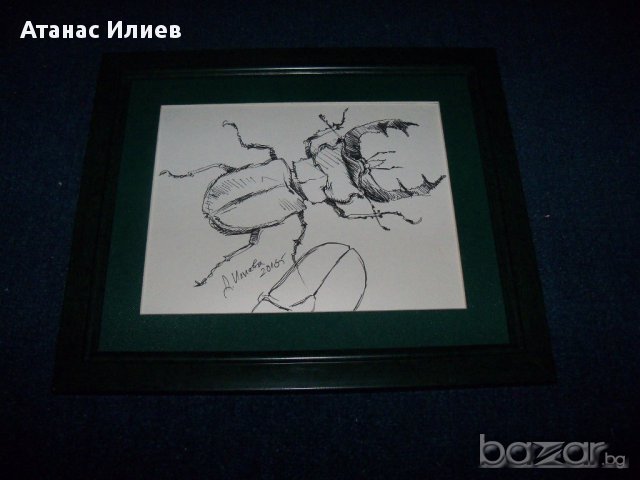 "Бръмбар рогач" графика от художничката Десислава Илиева. , снимка 4 - Картини - 16257953