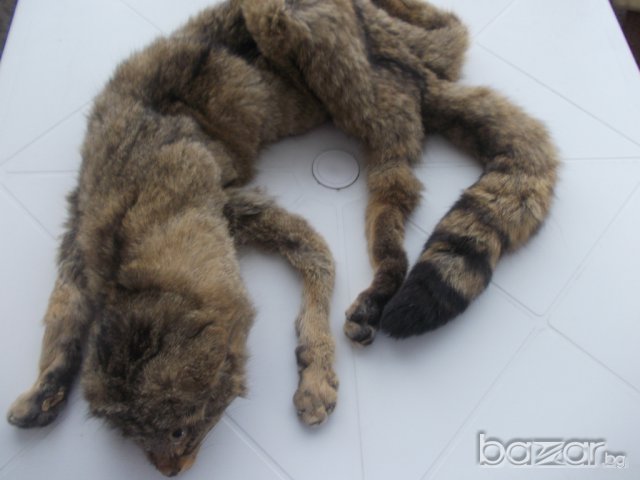 Красива пухкава яка от енот, снимка 2 - Шапки - 7357895