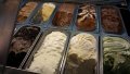 RANIERI-HUSKI-професионана слад.витрн.12 вани-ИТАЛИАНСКА ВИТРИНА ЗА сладолед, снимка 4