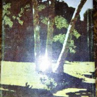 Повести за любовта - Колектив, снимка 3 - Художествена литература - 16966773