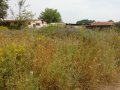 продава парцел в к.к.Слънчев бряг, снимка 2