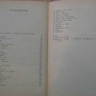 Книга "Ивайло - Стоян Загорчинов" - 542 стр., снимка 5 - Художествена литература - 8104092