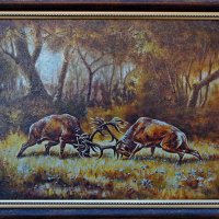 Благородни елени, борба, картина за ловци, снимка 1 - Картини - 24316362